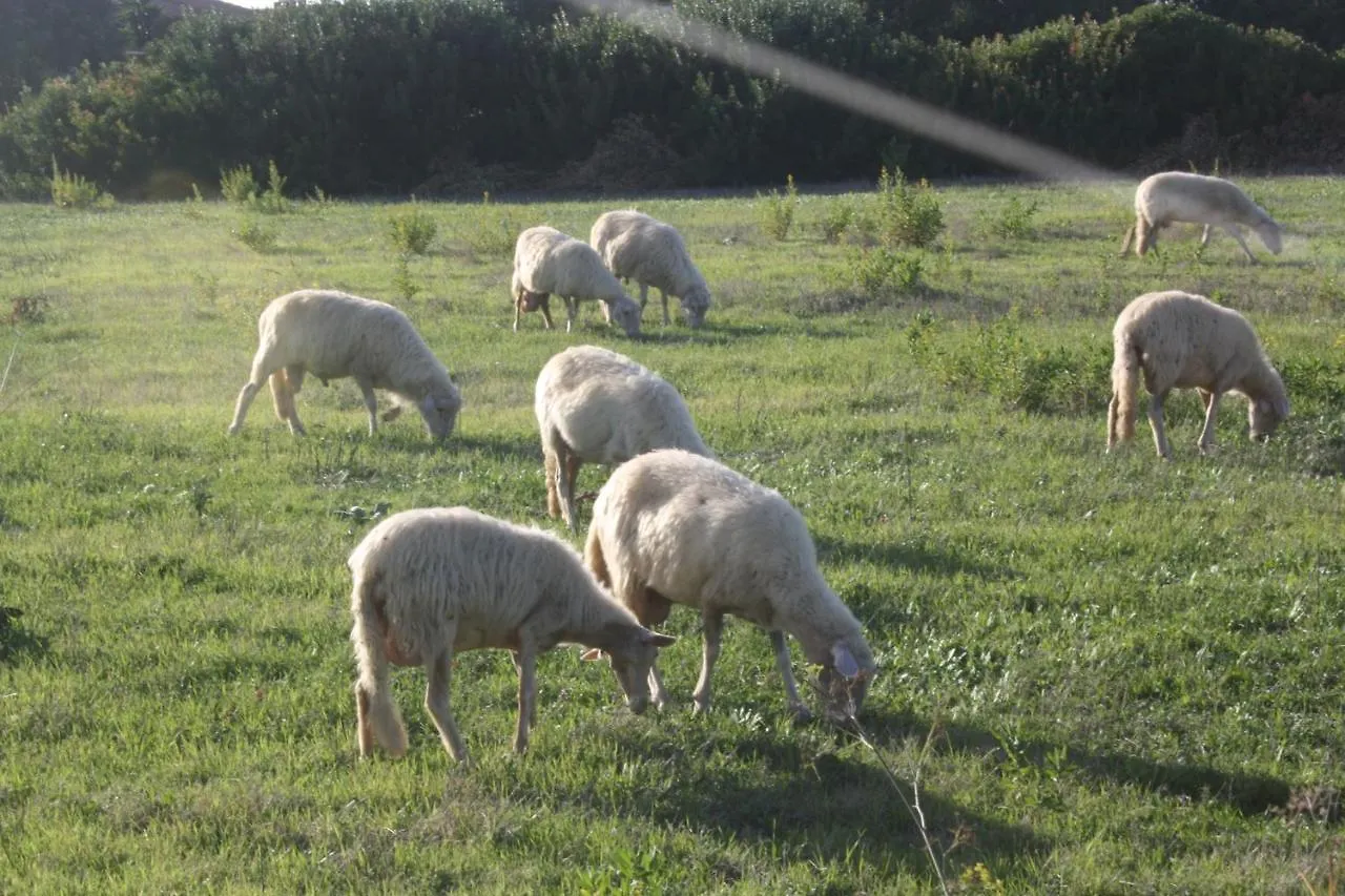 Bed & Breakfast Sa Cannizzada Funtana Meiga